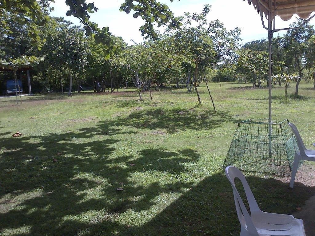 Ladaga Inn & Restaurant Panglao Exterior photo